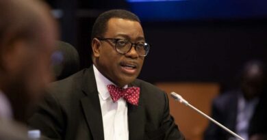 GDP not enough to measure economic growth — AfDB