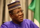 PDP crisis: Why party members are resigning – Sule Lamido